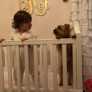 Meet your Posher, Jayne